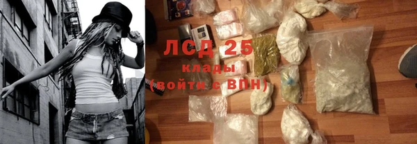ГАЛЛЮЦИНОГЕННЫЕ ГРИБЫ Богданович