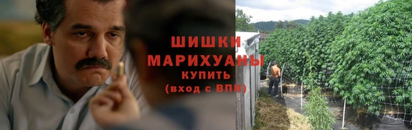 ГАЛЛЮЦИНОГЕННЫЕ ГРИБЫ Богданович
