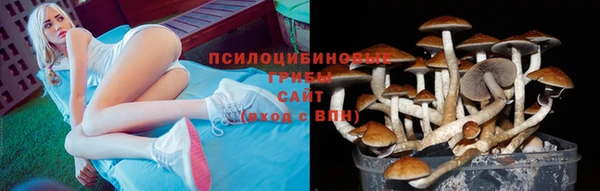 ГАЛЛЮЦИНОГЕННЫЕ ГРИБЫ Богданович