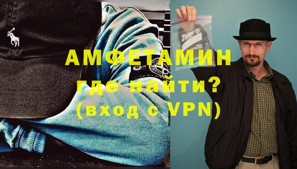 ГАЛЛЮЦИНОГЕННЫЕ ГРИБЫ Богданович