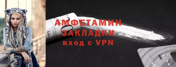 ГАЛЛЮЦИНОГЕННЫЕ ГРИБЫ Богданович