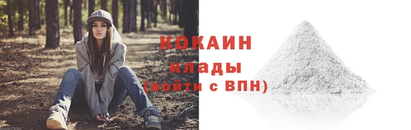ГАЛЛЮЦИНОГЕННЫЕ ГРИБЫ Богданович