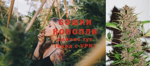 прущая мука Богородск