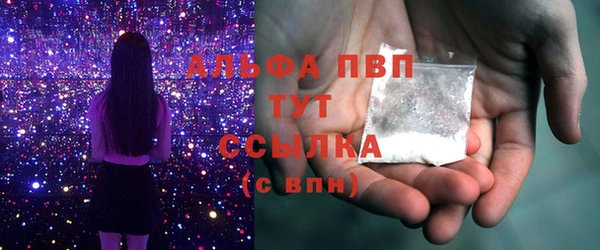 ГАЛЛЮЦИНОГЕННЫЕ ГРИБЫ Богданович
