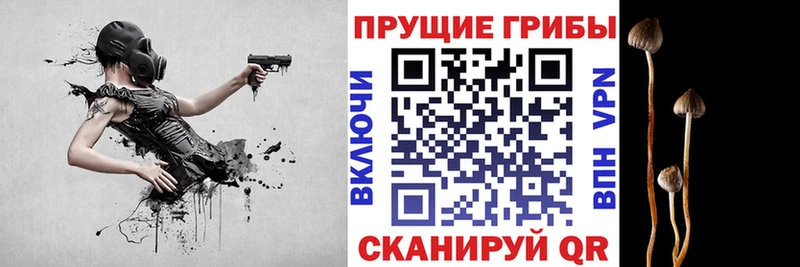 Псилоцибиновые грибы ЛСД  Купить где  Апрелевка 